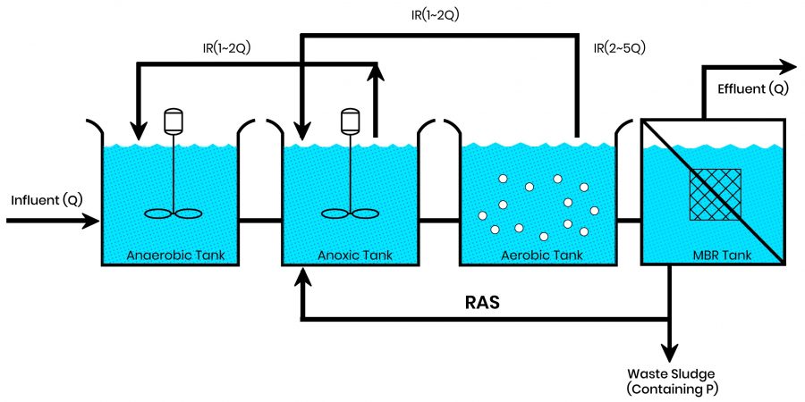 Enhanced Biological Phosphorus Removal